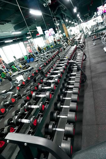 City Gym - Bin Omran